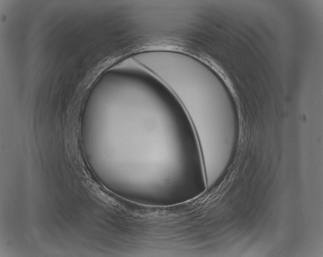 X0000081480385200701121047