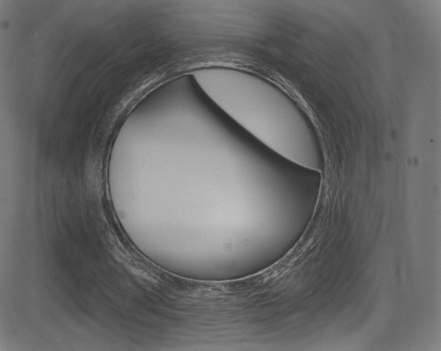 X0000081480386200701121047