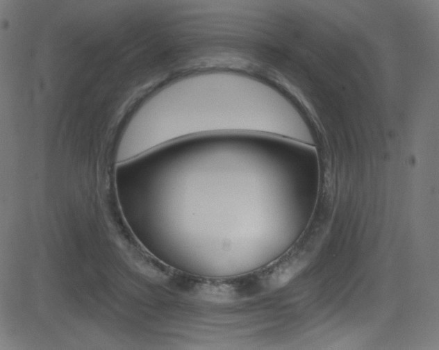 X0000081480403200701121046