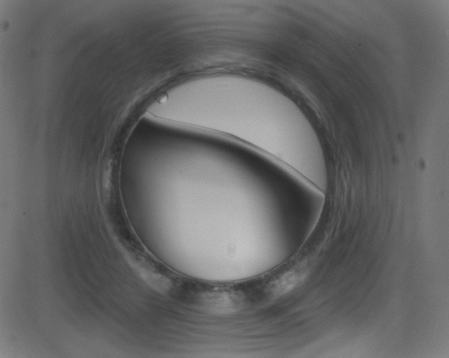 X0000081480404200701121046