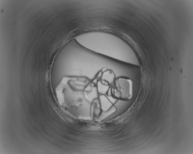 X0000081480405200701121046
