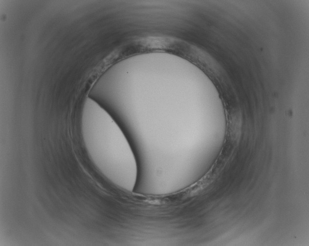 X0000081480406200701121046