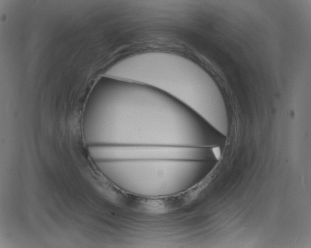 X0000081480409200701121046