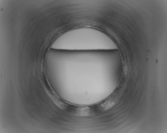 X0000081480410200701121046