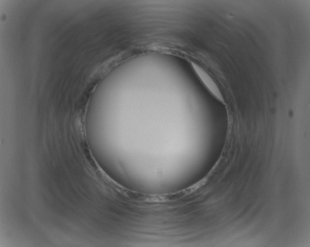 X0000081480415200701121046