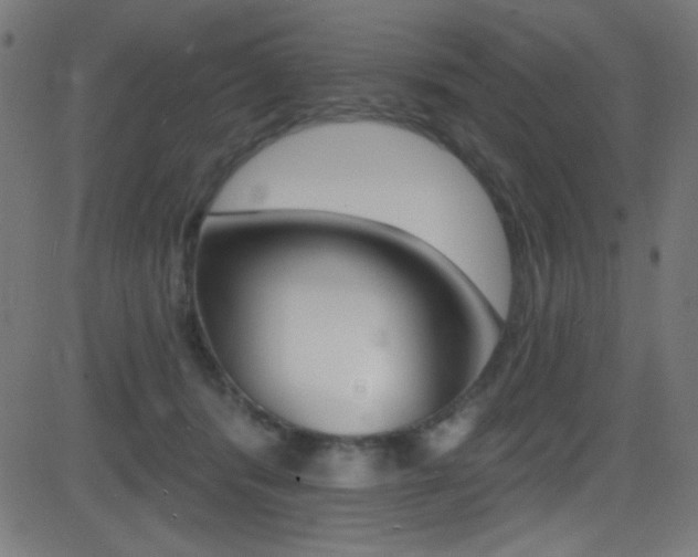X0000081480416200701121046