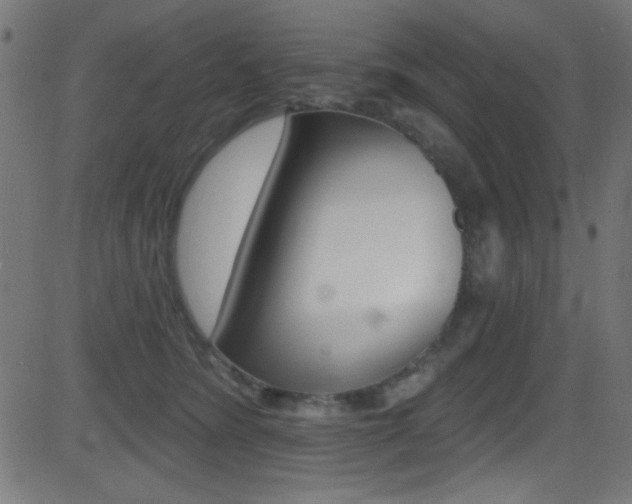 X0000081480420200701121046