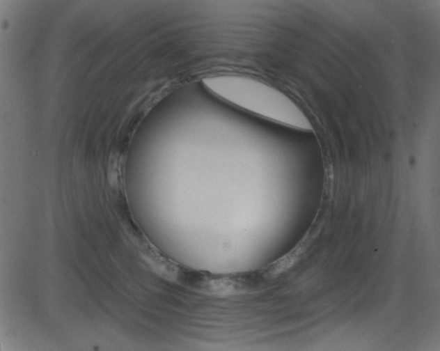 X0000081480423200701121046