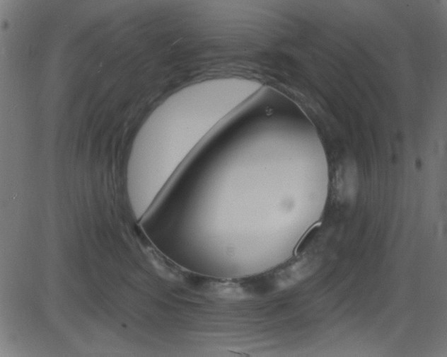 X0000081480424200701121046