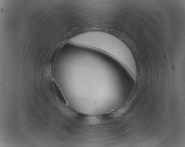 X0000081480425200701121046