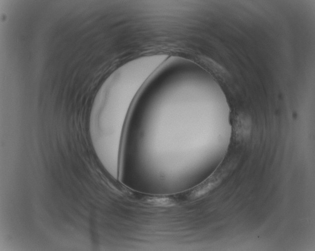 X0000081480428200701121046