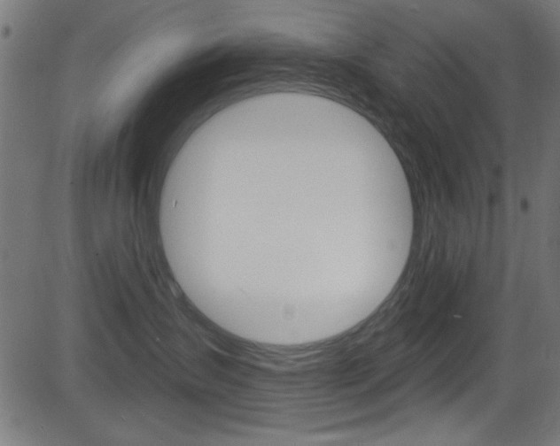 X0000081480431200701121046