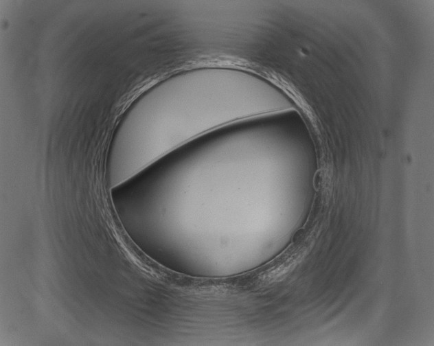 X0000081480433200701121045