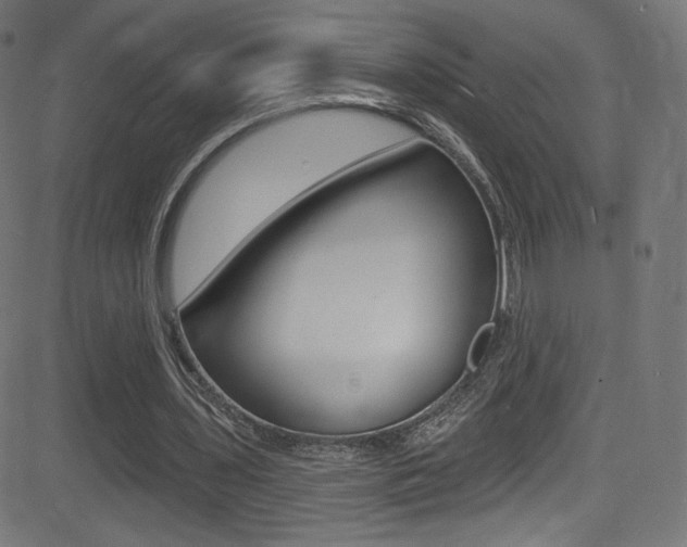 X0000081480435200701121045