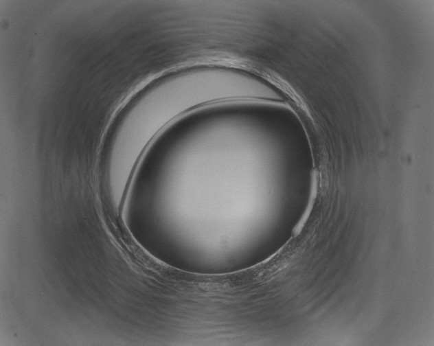 X0000081480436200701121045
