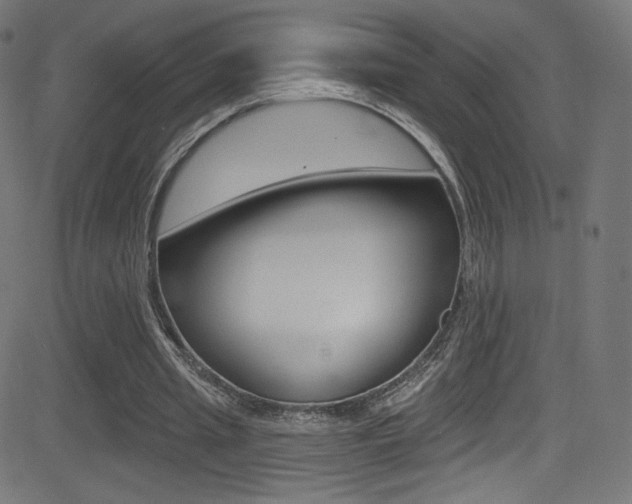 X0000081480437200701121045