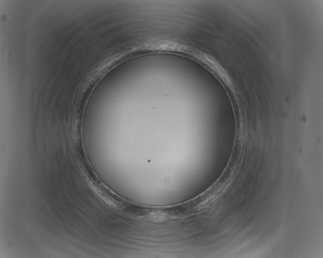 X0000081480441200701121045