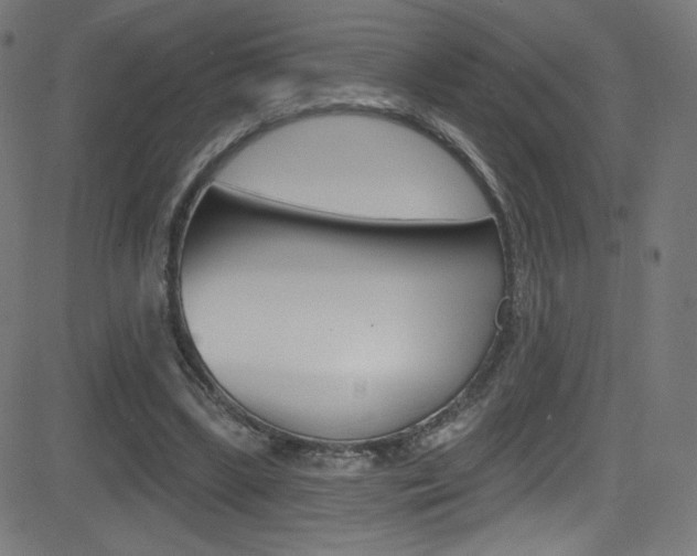 X0000081480443200701121045