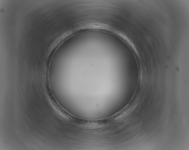 X0000081480445200701121045