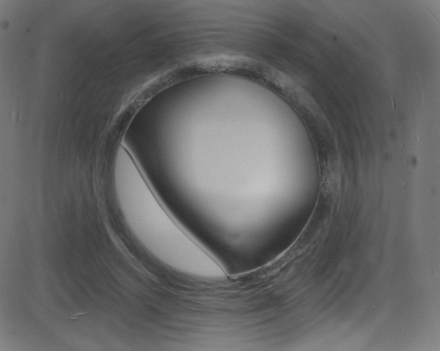 X0000081480448200701121045