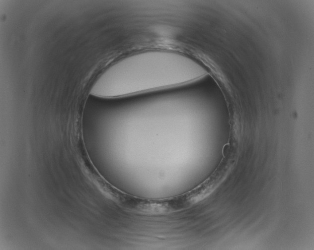 X0000081480449200701121045