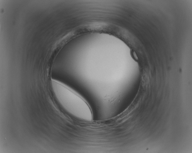 X0000081480454200701121045