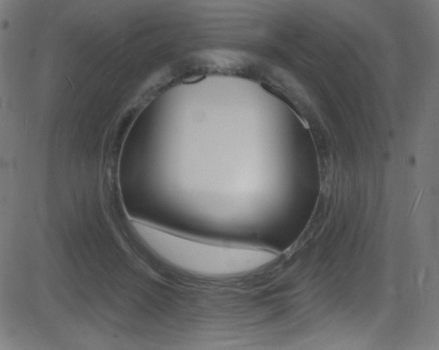 X0000081480456200701121045