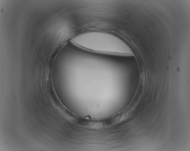 X0000081480458200701121045