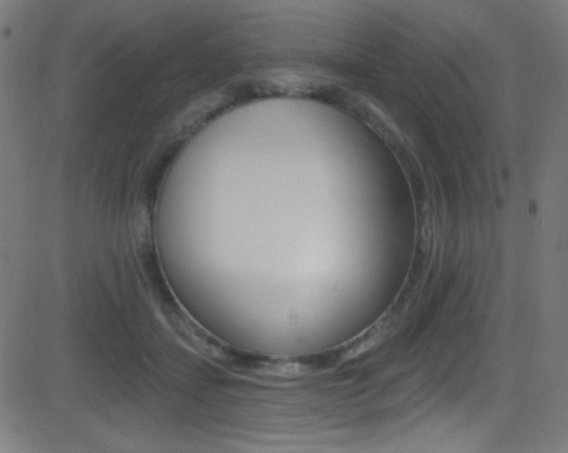 X0000081480459200701121046