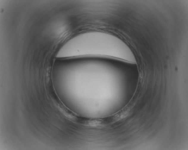 X0000081480462200701121046