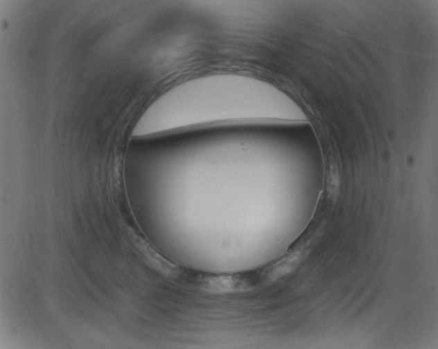 X0000081480473200701121046