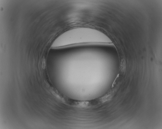 X0000081480474200701121046