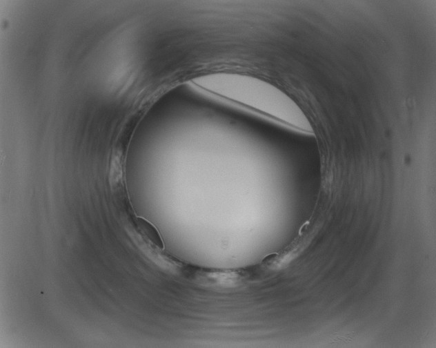 X0000081480478200701121046