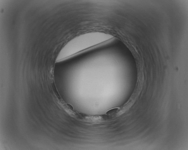 X0000081480480200701121046