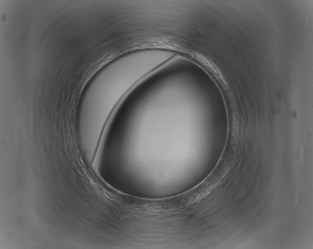 X0000081480481200701121045