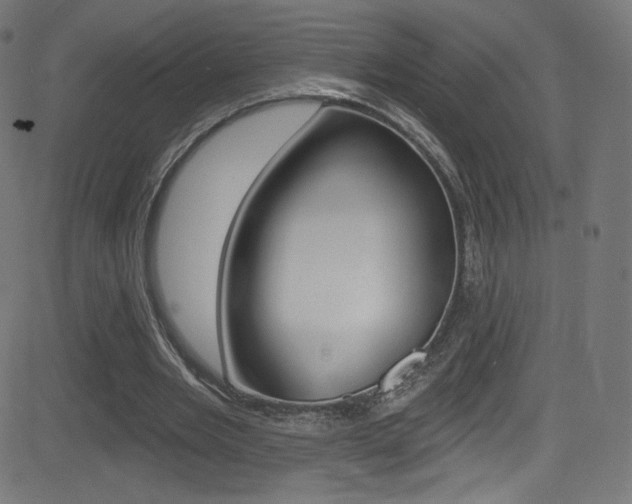 X0000081480485200701121045