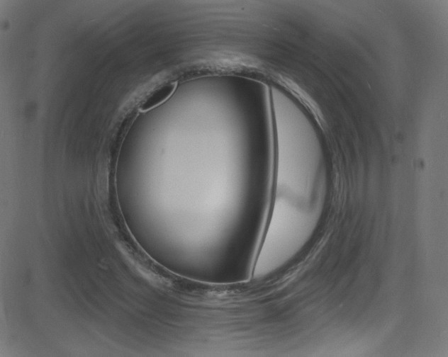 X0000081480493200701121045