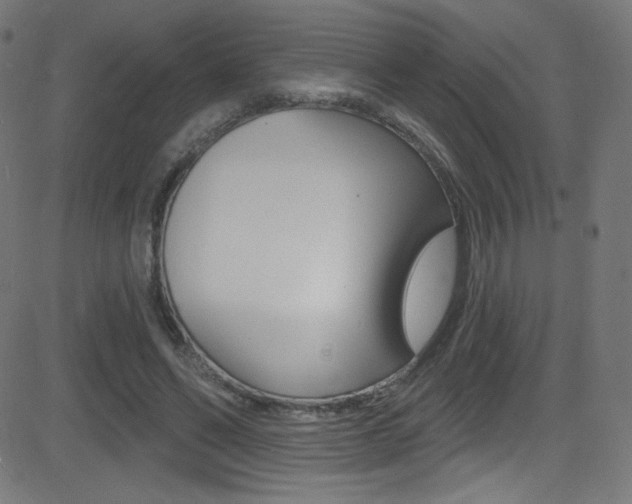 X0000081480494200701121045