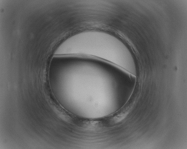 X0000081480497200701121045