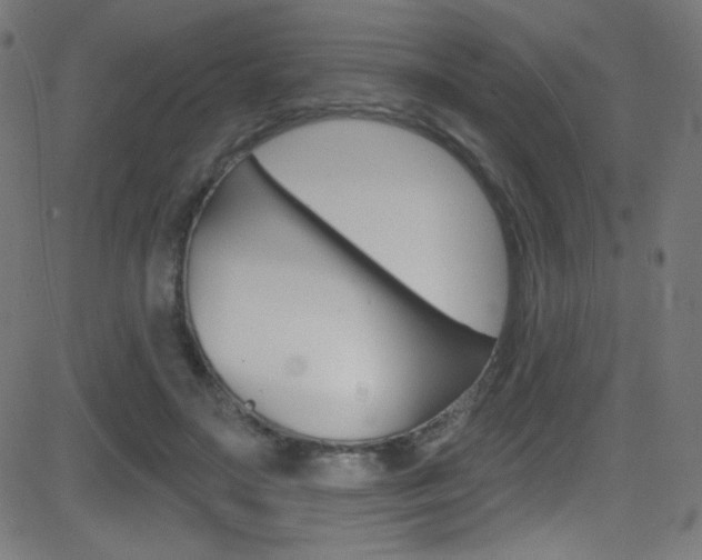 X0000081480499200701121045