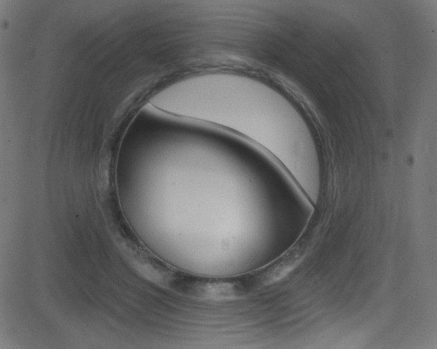 X0000081480501200701121045