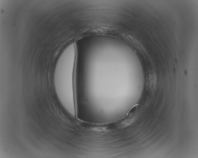 X0000081480508200701121045