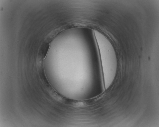 X0000081480513200701121045