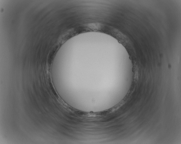 X0000081480518200701121044