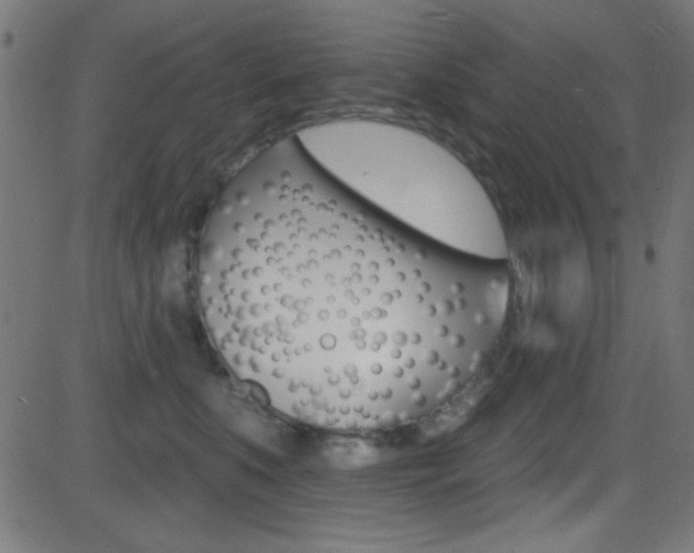 X0000081480519200701121044