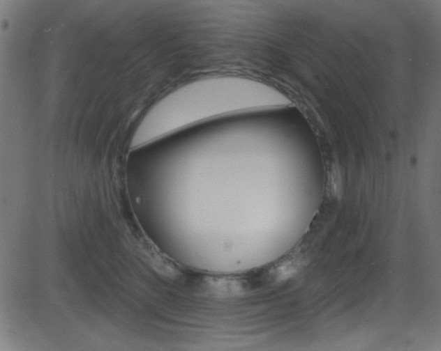 X0000081480520200701121044