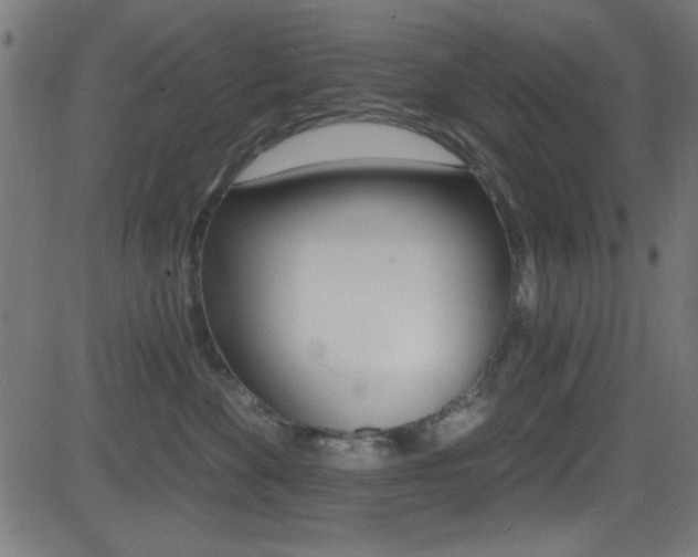X0000081480524200701121044