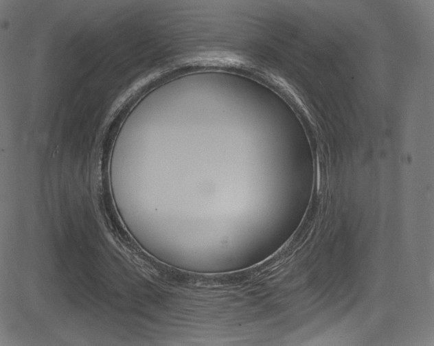 X0000081480531200701121044