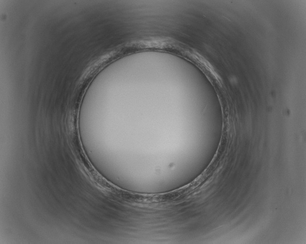 X0000081480537200701121044