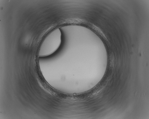 X0000081480538200701121044
